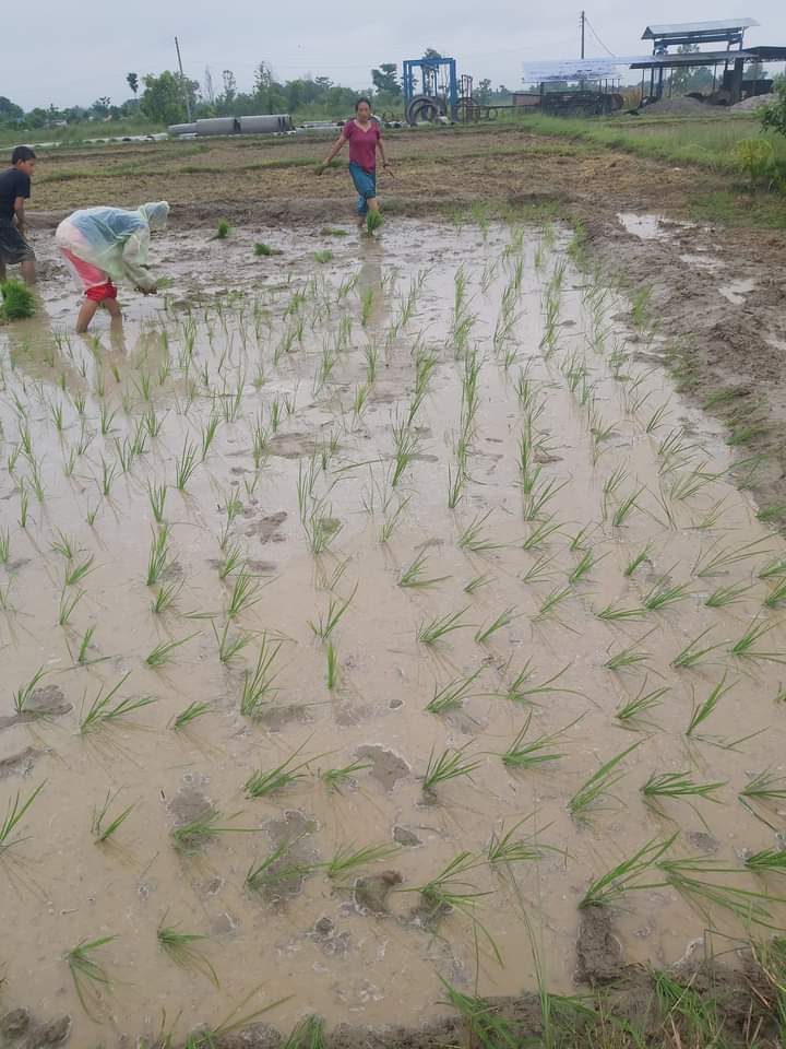 IMG-20240818-WA0099 IMG-20240818-WA0099