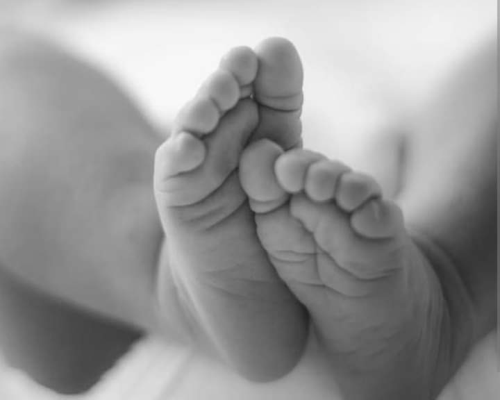 IMG-20240819-WA0091 IMG-20240819-WA0091