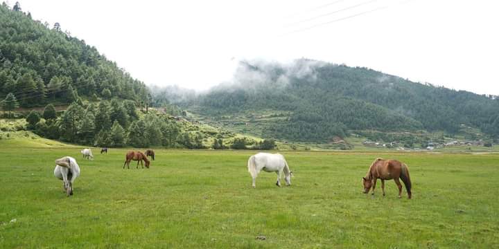 IMG-20240819-WA0095 IMG-20240819-WA0095