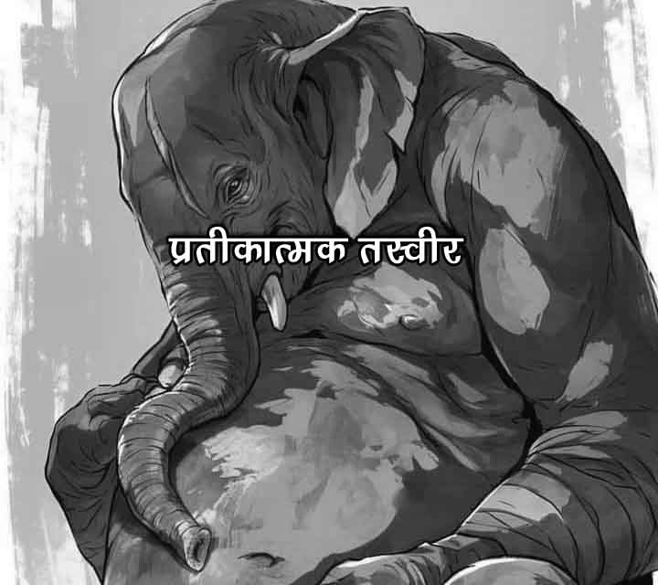 IMG-20240820-WA0151-copy IMG-20240820-WA0151-copy