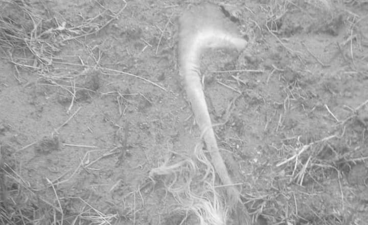 IMG-20240821-WA0197