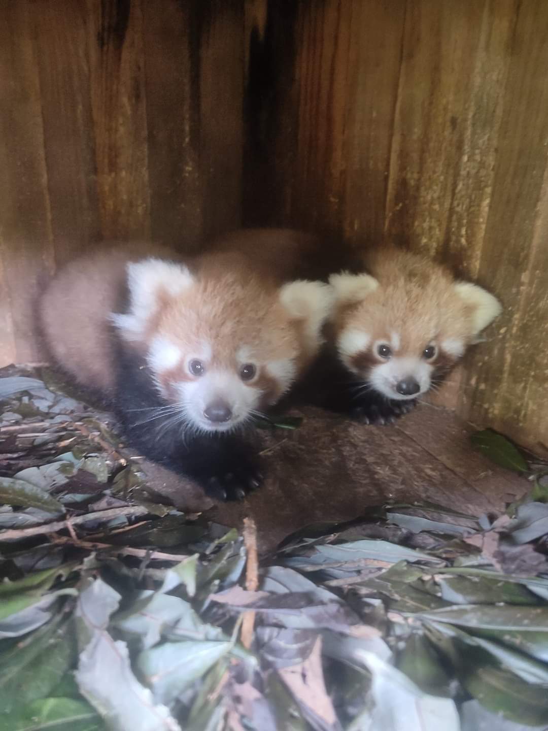 IMG-20240831-WA0143-1