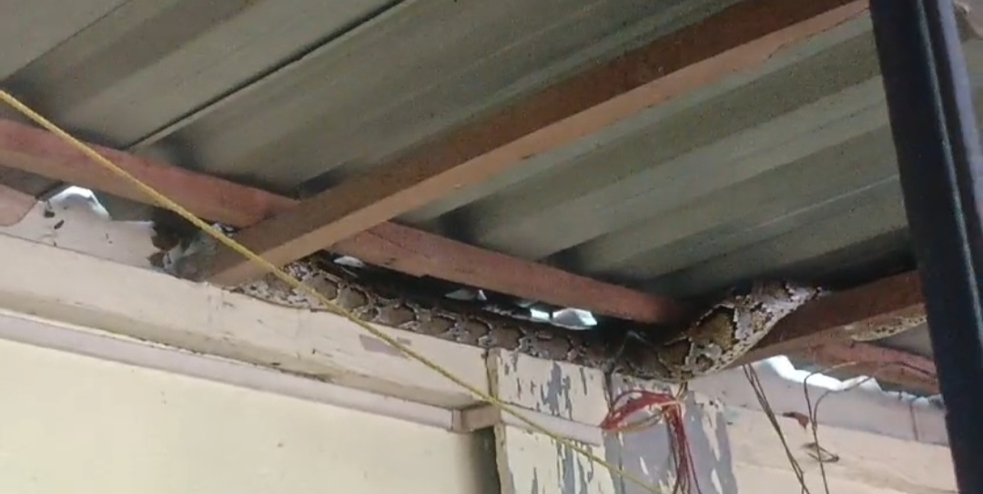 Screenshot_20240830_150502_WhatsApp