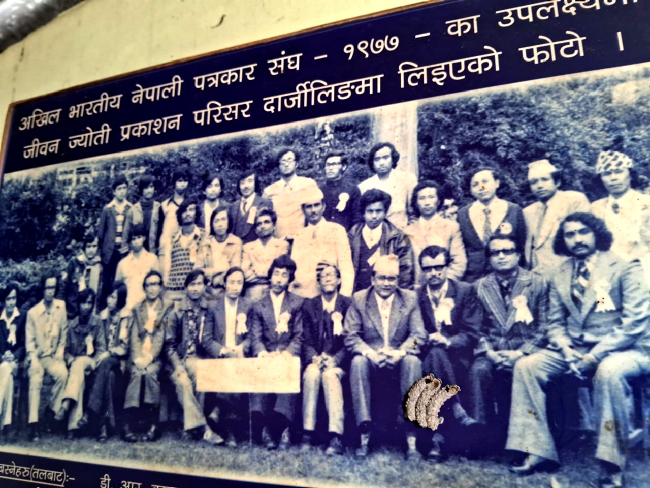 WhatsApp-Image-2024-08-07-at-09.30.58