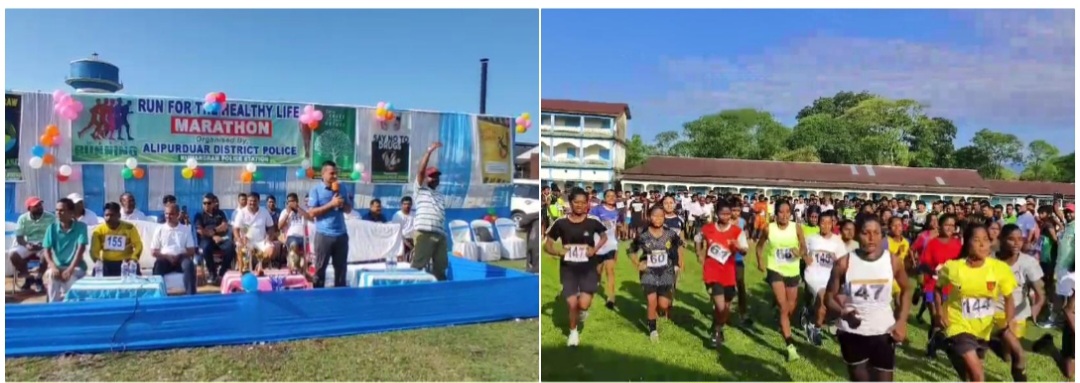 photocollage_2024818182024228 photocollage_2024818182024228