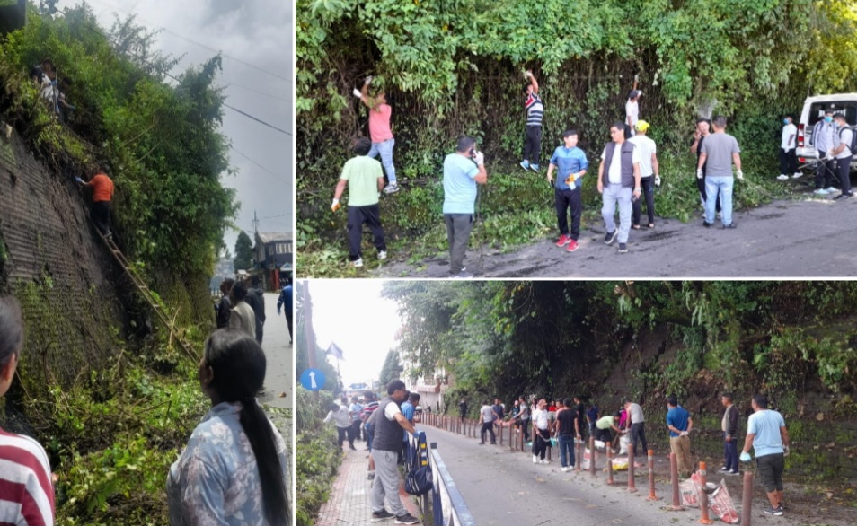 photocollage_2024818184728961 photocollage_2024818184728961