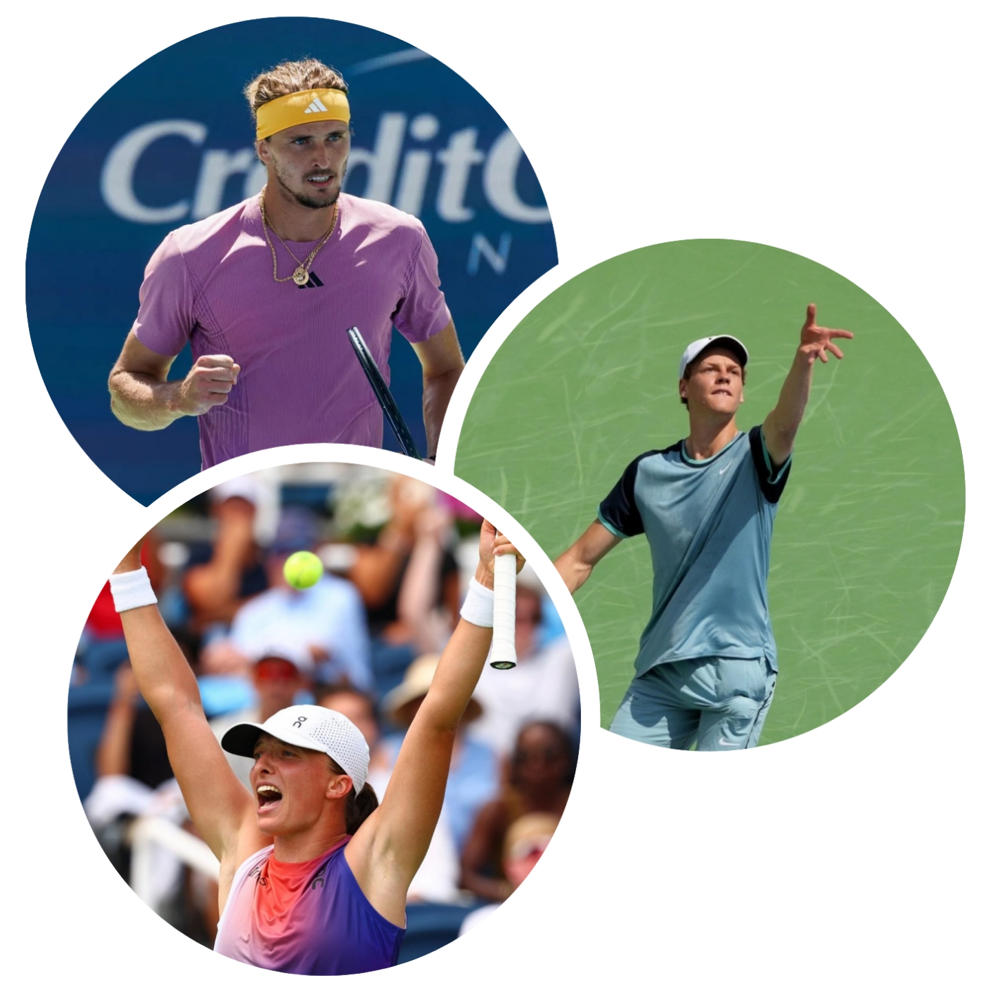 photocollage_2024818232612668 photocollage_2024818232612668