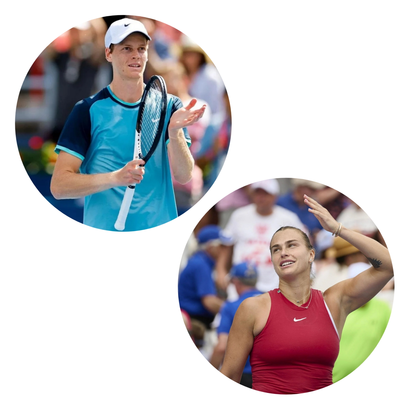 photocollage_2024819232337922 photocollage_2024819232337922