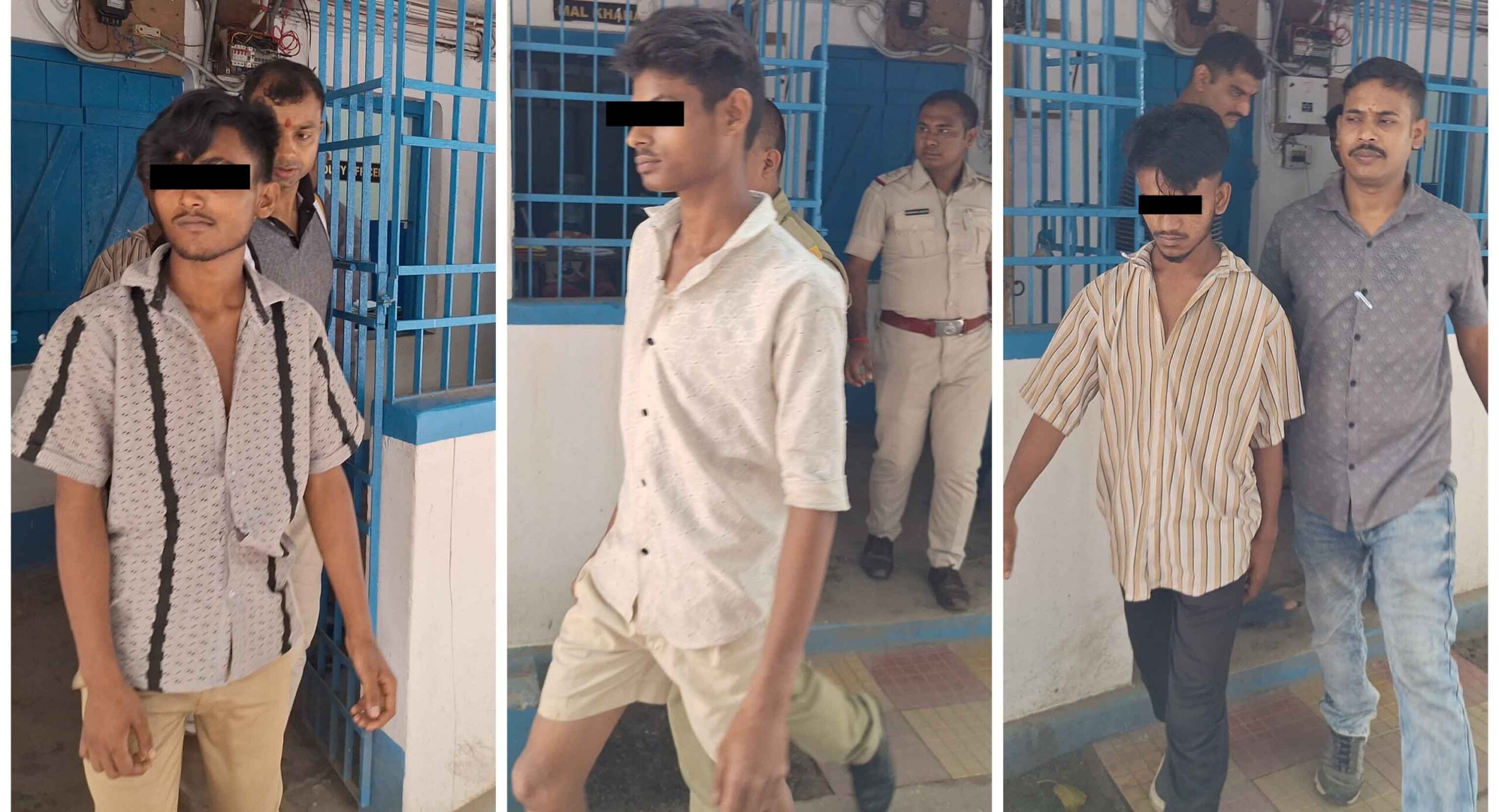 photocollage_2024820161323367-copy photocollage_2024820161323367-copy