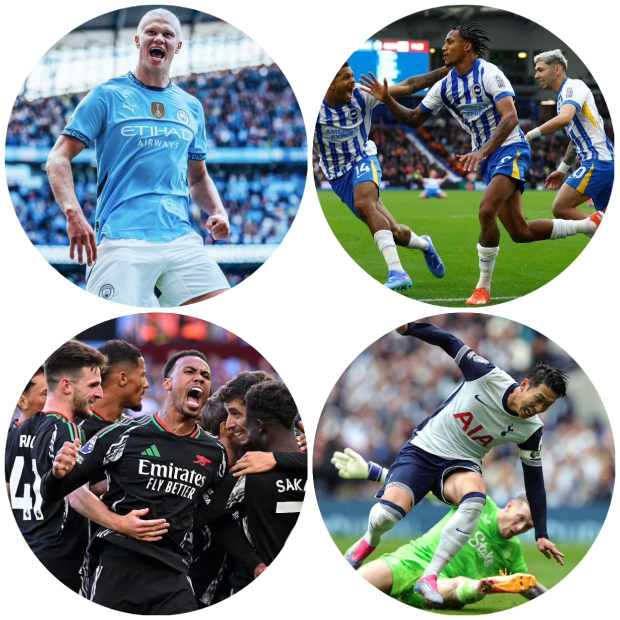 photocollage_202482511446296