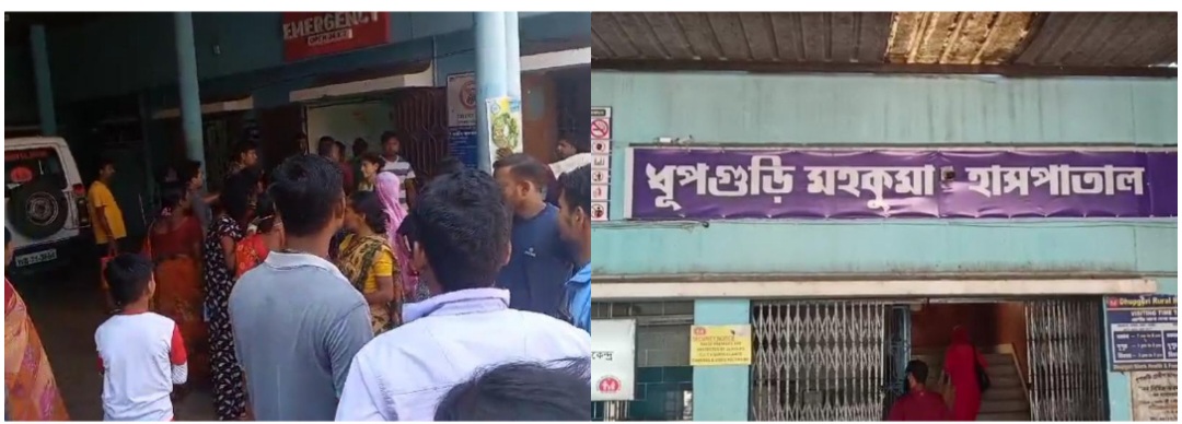 photocollage_20248518281197 photocollage_20248518281197