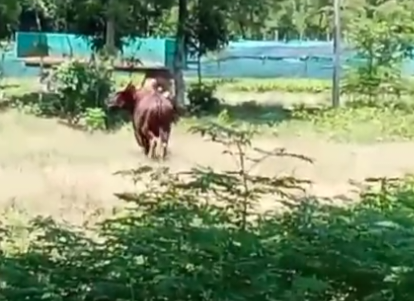 Capture3-3 Capture3-3