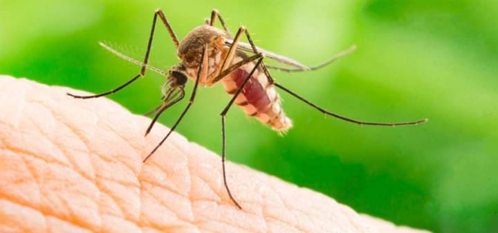 IMG-20240901-WA0092 IMG-20240901-WA0092