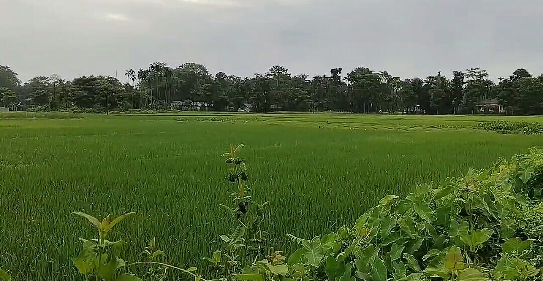 IMG-20240901-WA0169-1 IMG-20240901-WA0169-1