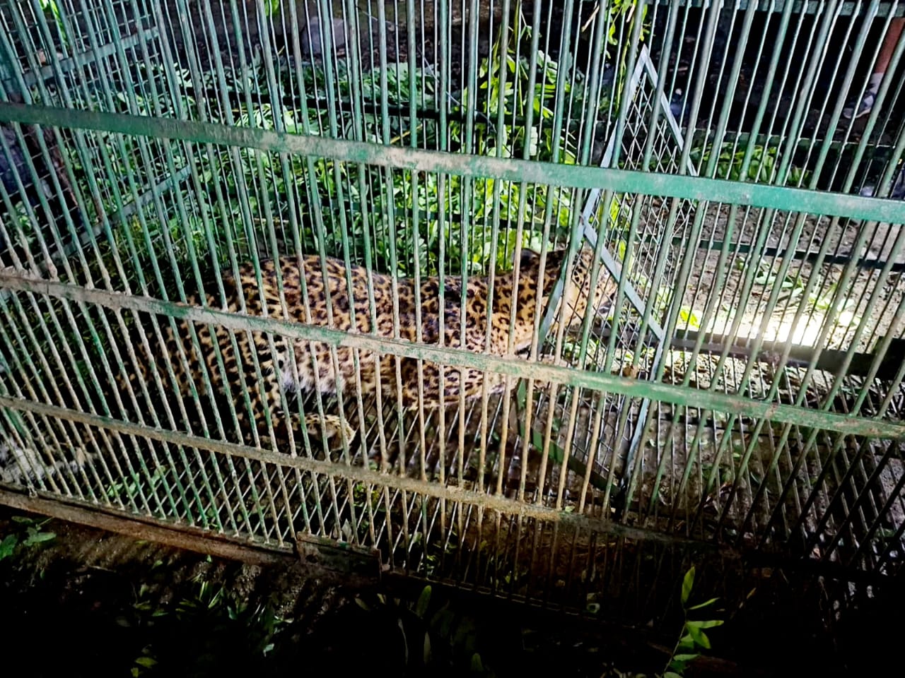 IMG-20240902-WA0134