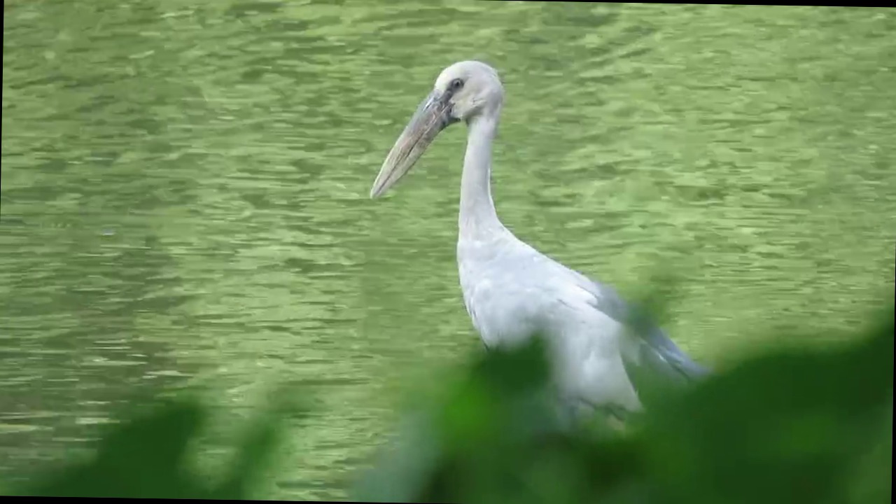 IMG-20240903-WA0162 IMG-20240903-WA0162