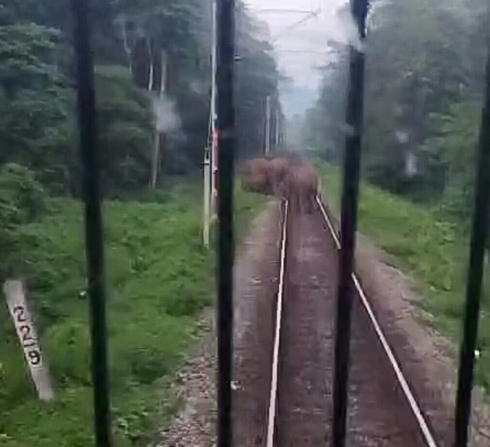 IMG-20240906-WA0122 IMG-20240906-WA0122