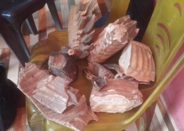 IMG-20240911-WA0080 IMG-20240911-WA0080