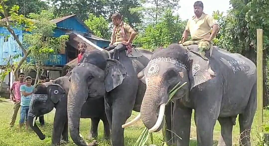 IMG-20240917-WA0198-1