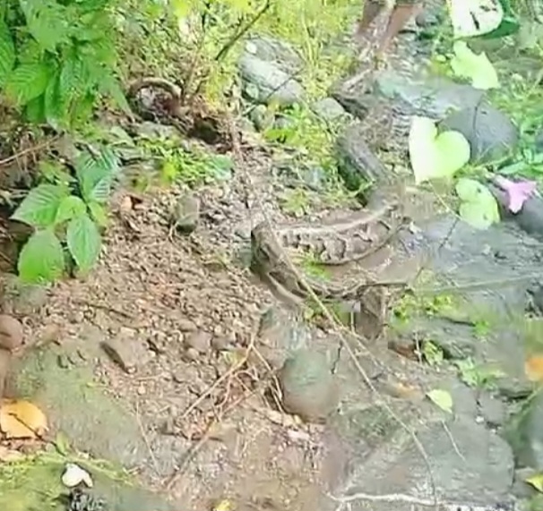 Screenshot_20240915_222708_WhatsApp