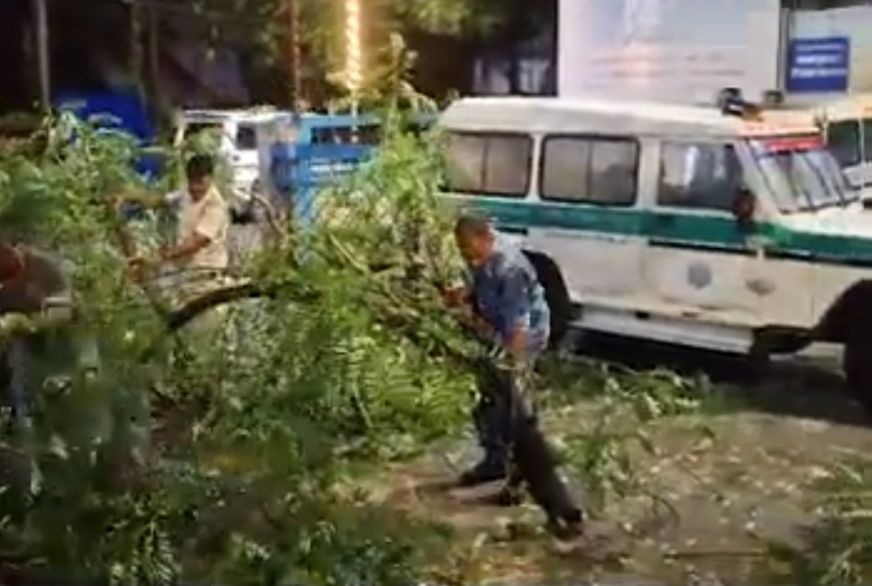 Screenshot_20240925_220515_Chrome