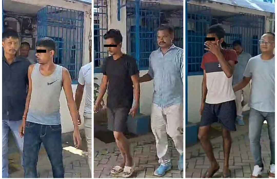 photocollage_20249101452698-copy