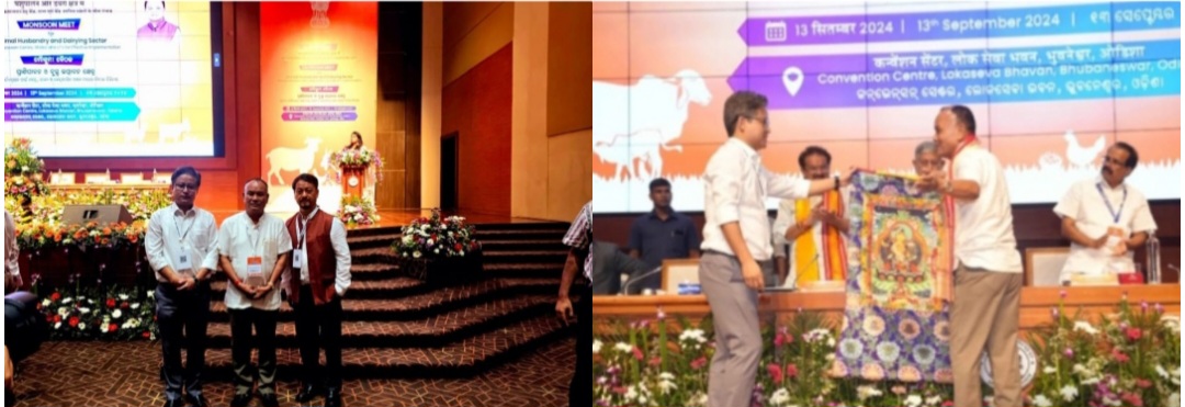 photocollage_2024914231656693 photocollage_2024914231656693