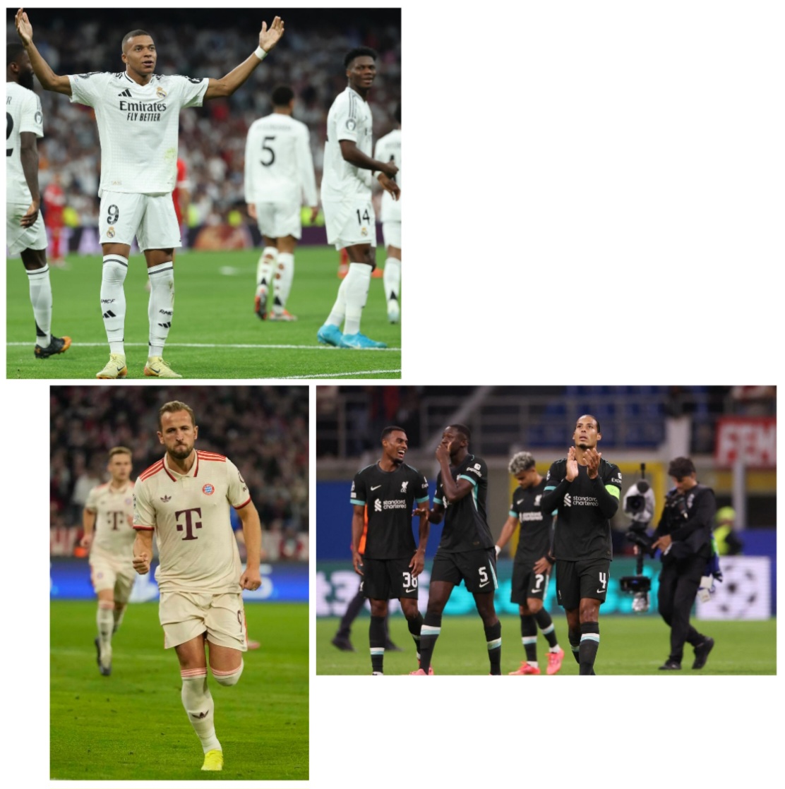 photocollage_20249181627225