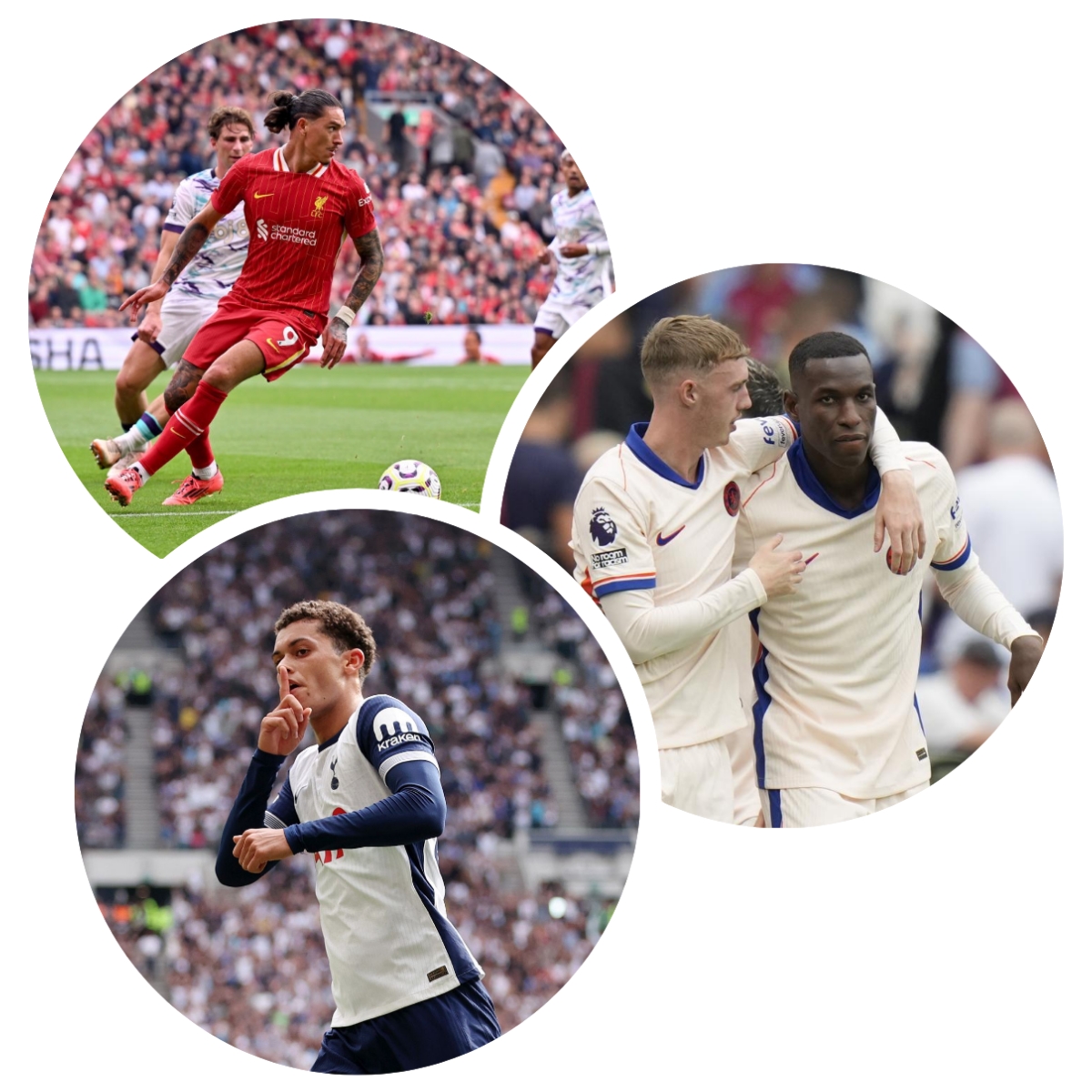 photocollage_20249221463453