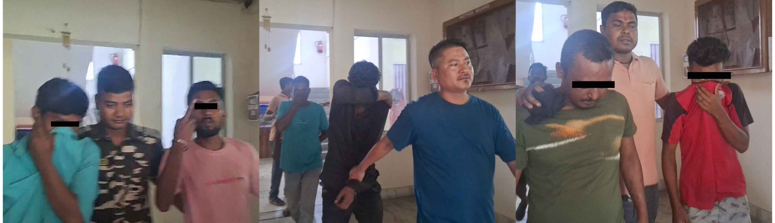 photocollage_20249241510078-copy photocollage_20249241510078-copy