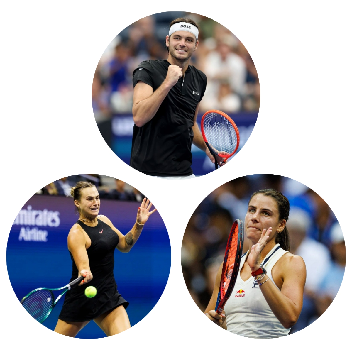 photocollage_202494225358276