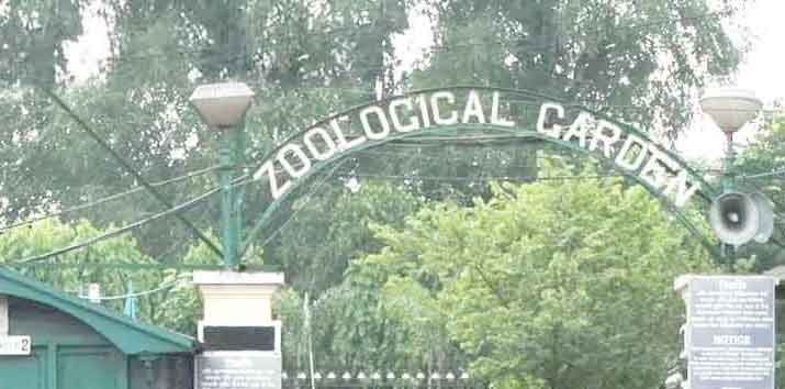 00-1-Alipore-Zoo