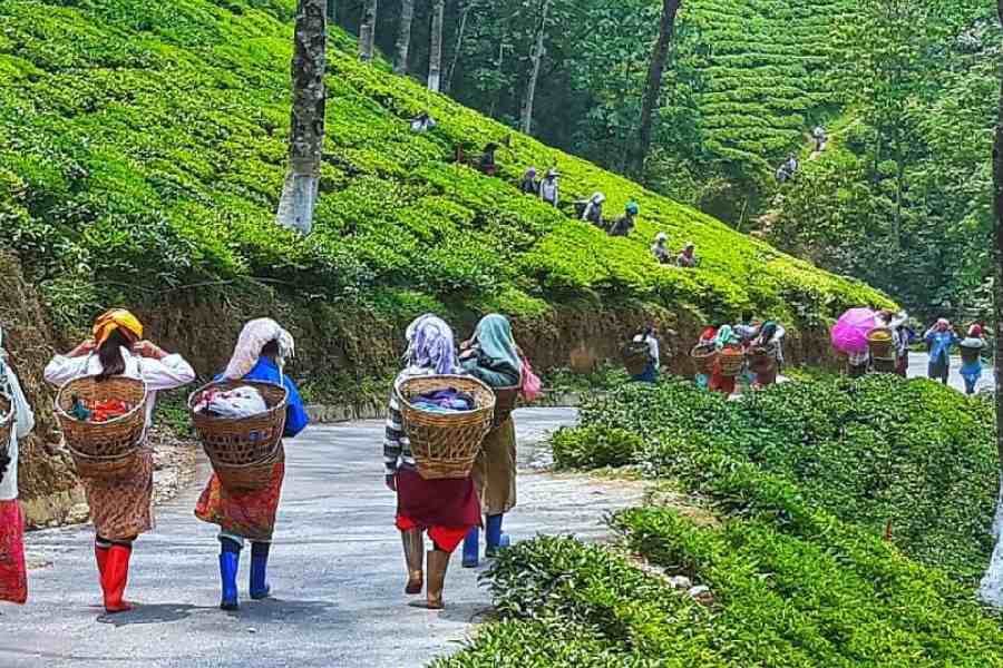 1725425628_new-project-11