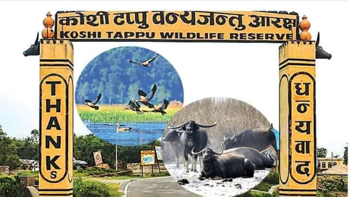 IMG-20241009-WA0278 IMG-20241009-WA0278