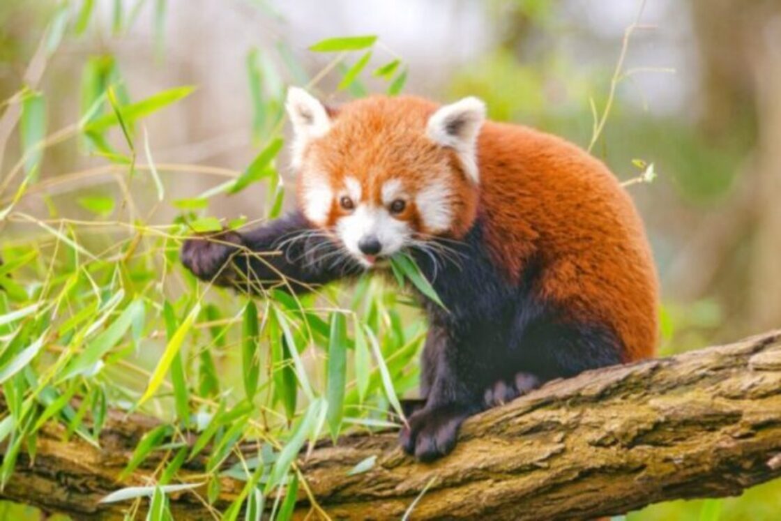 IMG-20241014-WA0210 IMG-20241014-WA0210