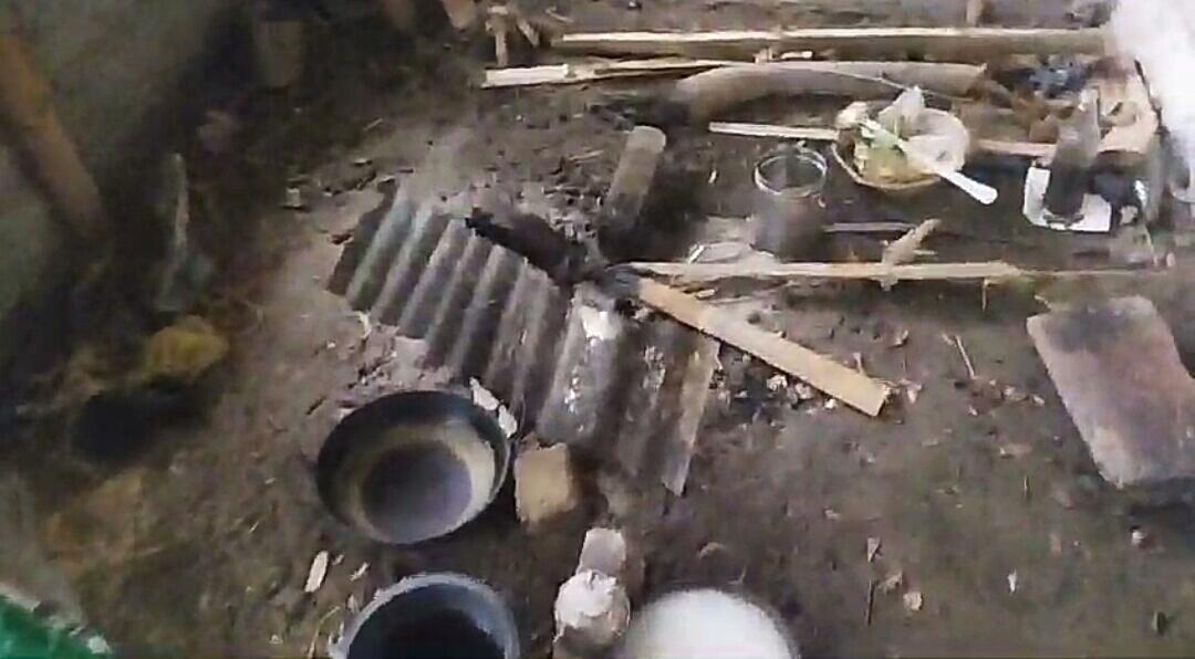 IMG-20241019-WA0135-1