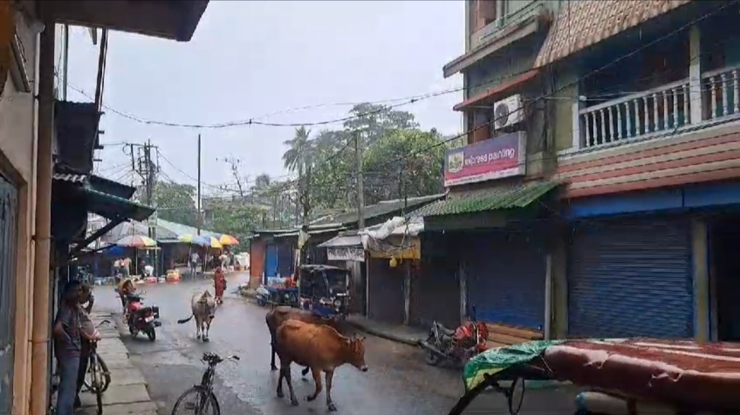 Screenshot_20241008_134042_WhatsApp