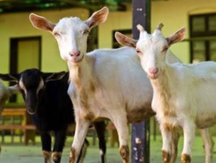 Screenshot_20241013_220711_Google