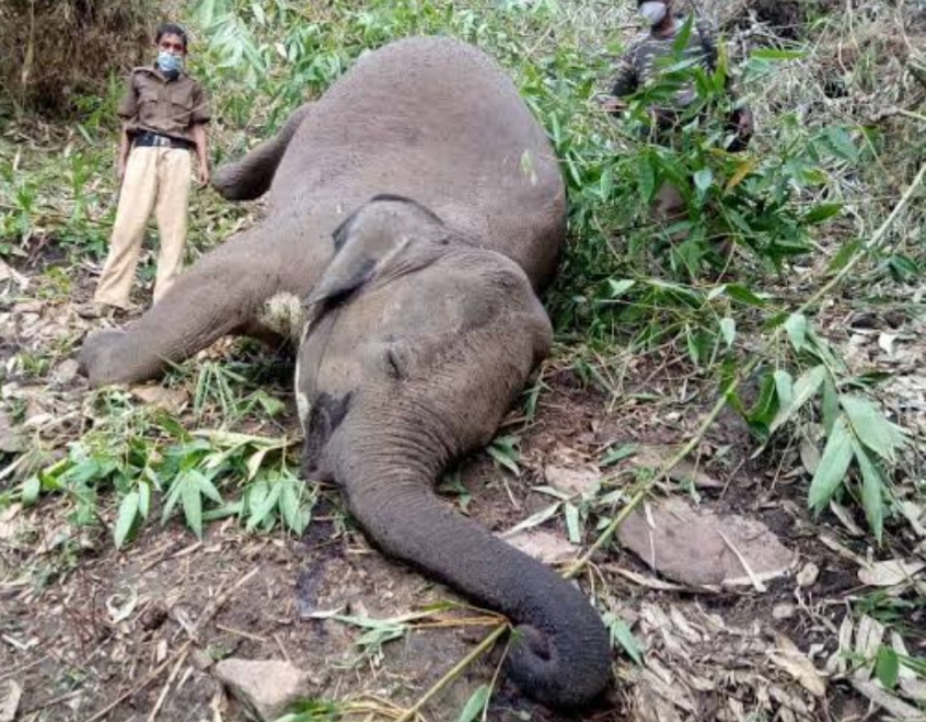 Screenshot_20241021_165825_Google