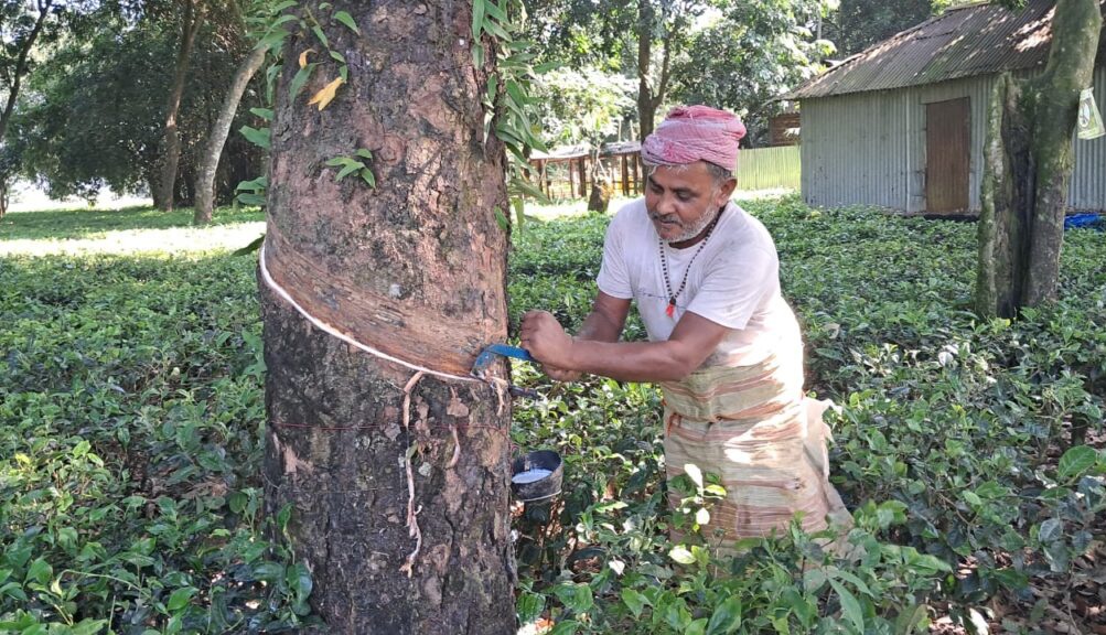 da8260ea-b756-44bf-bf76-de7680e8ed21-1024x576