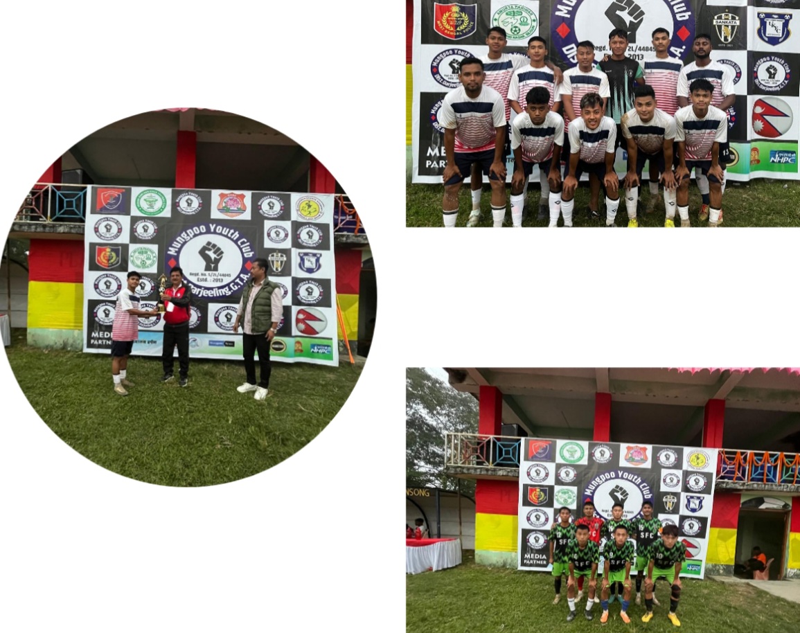 photocollage_20241019224838414