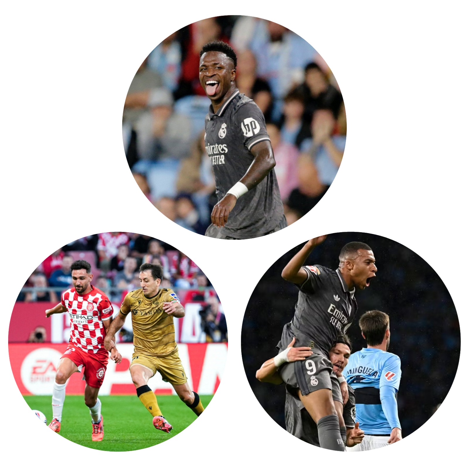 photocollage_202410201450919