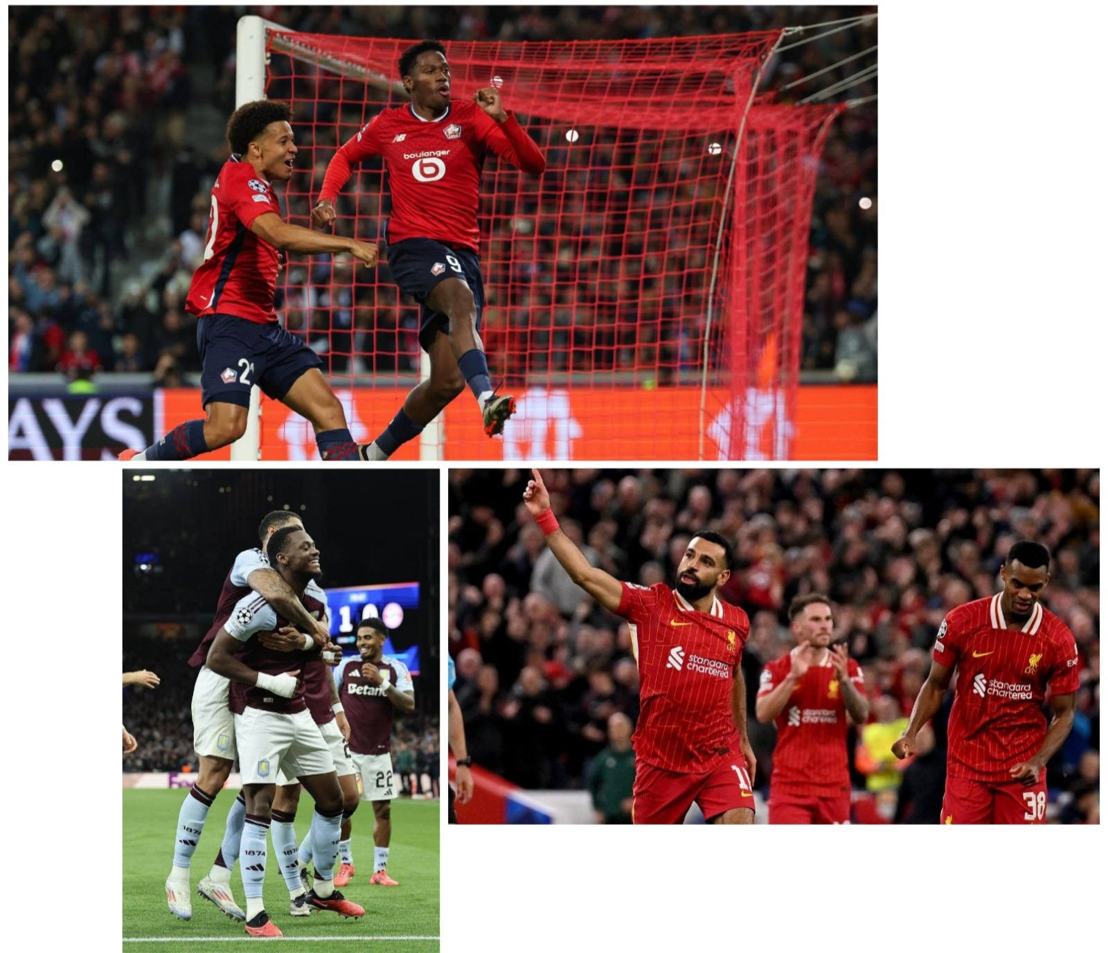 photocollage_202410314047413