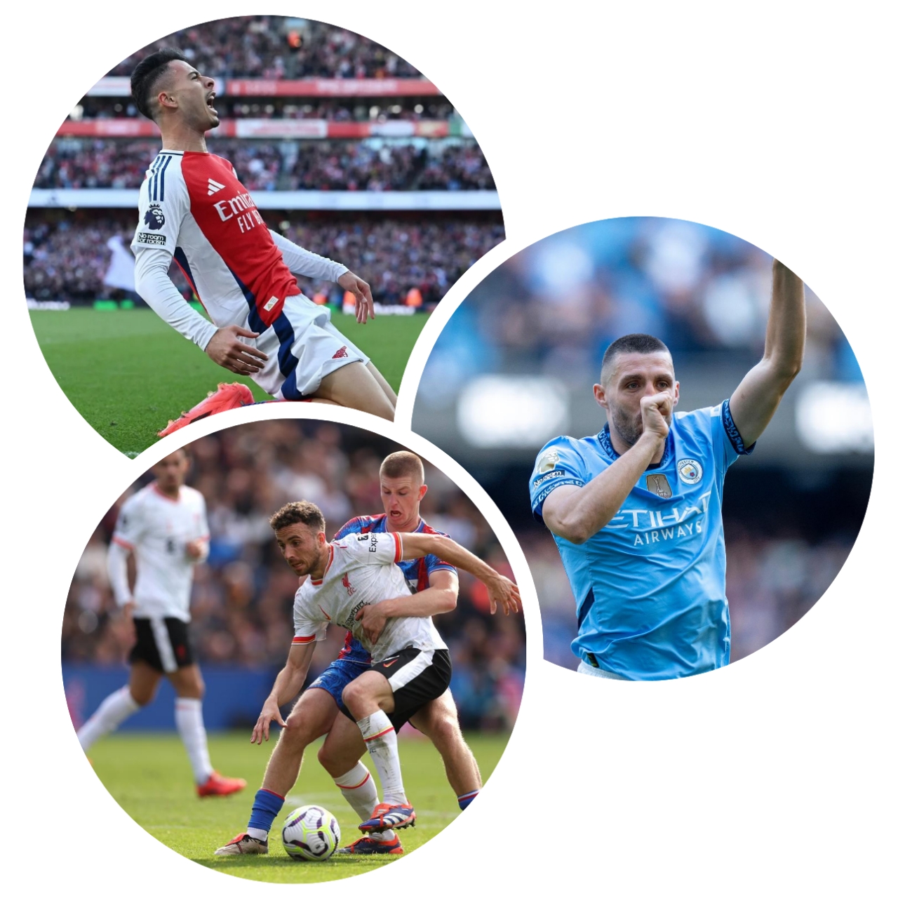 photocollage_2024106121245332