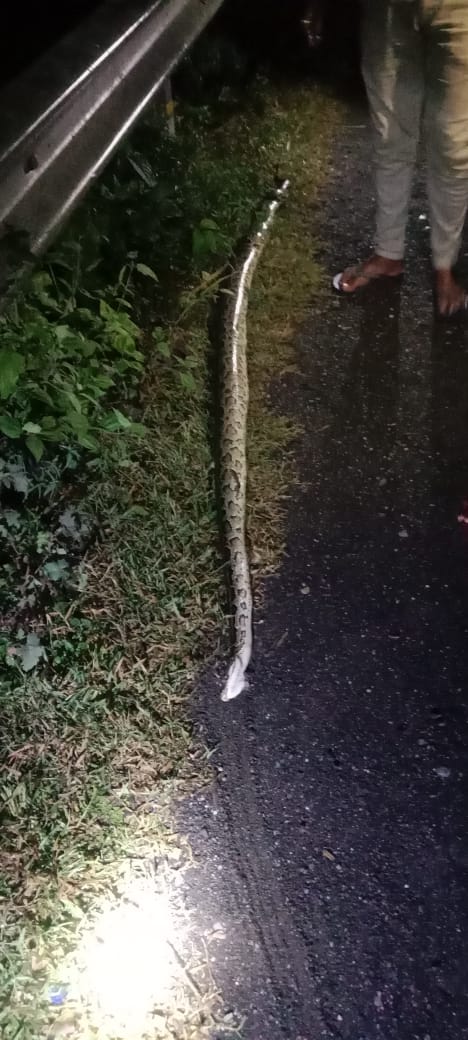 IMG-20241101-WA0177-1