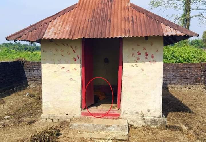 IMG-20241106-WA0006 IMG-20241106-WA0006