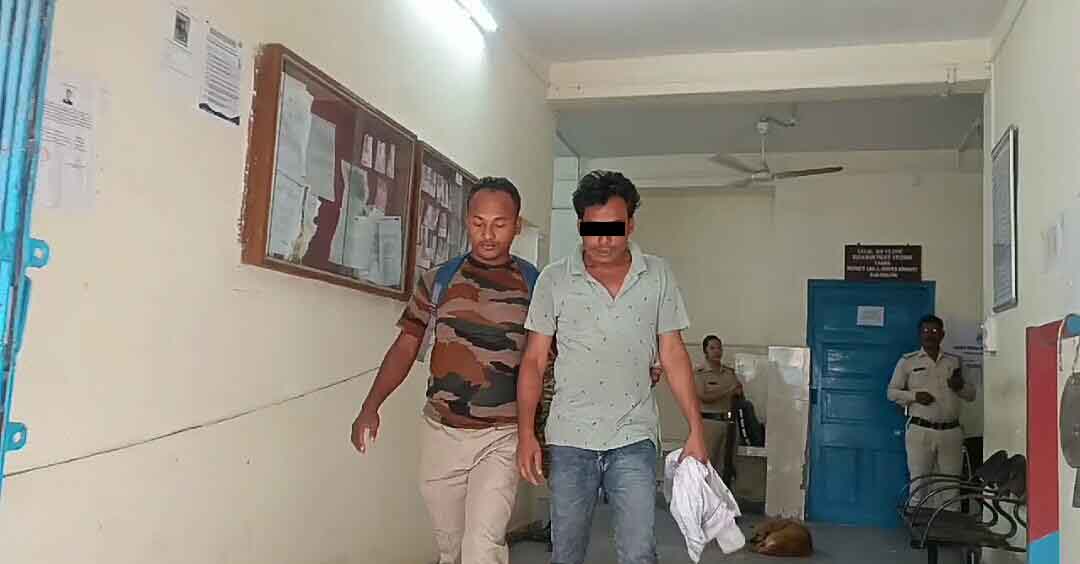 IMG-20241108-WA0169-copy