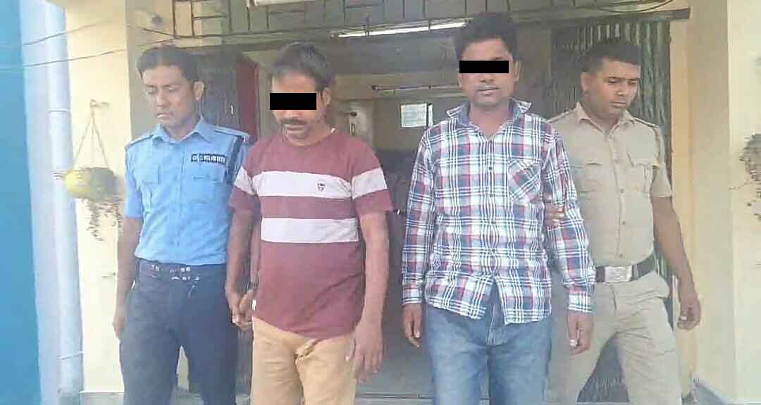 IMG-20241112-WA0218-copy