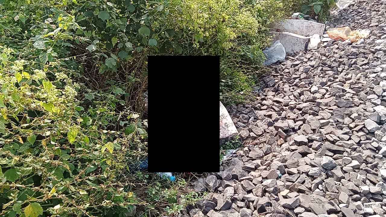 IMG-20241114-WA0186-copy