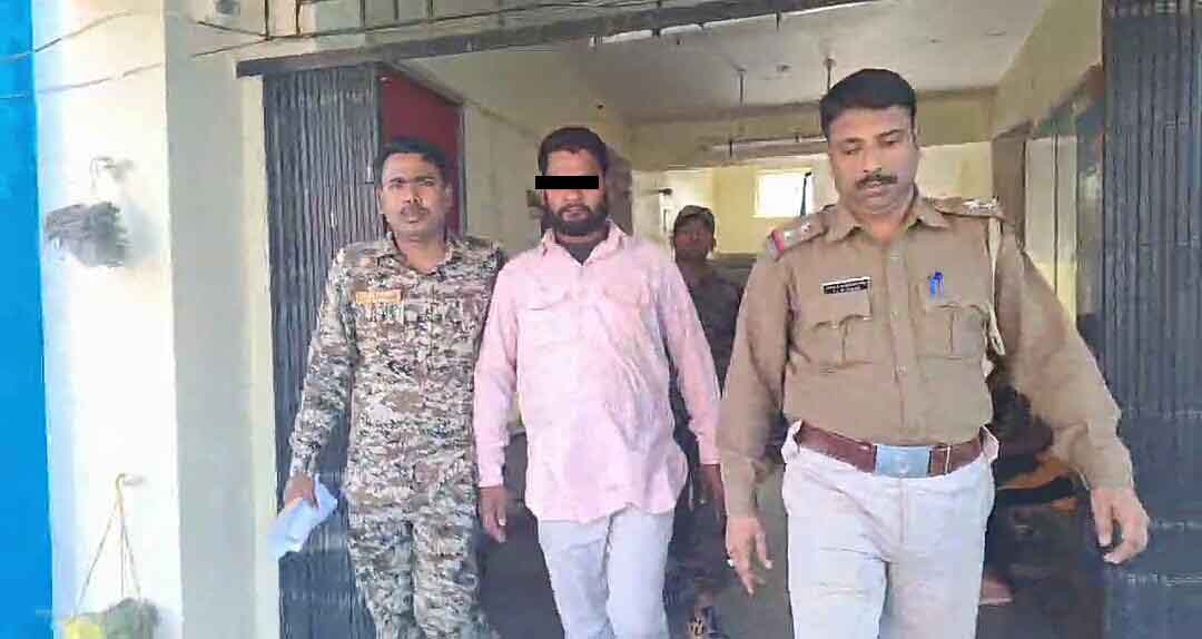 IMG-20241119-WA0211-copy